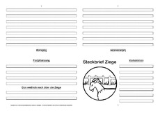 Ziege-Faltbuch-vierseitig-2.pdf